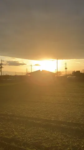 まばゆい夕暮れの畑