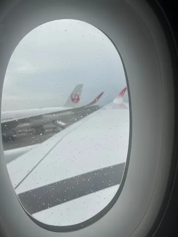 雨粒越しの翼、次の場所へ