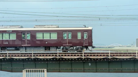 橋を駆けるワイン色の車両