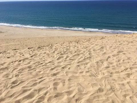 広がる砂浜と青い海