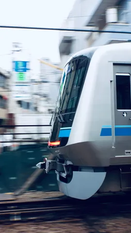 一瞬を切り取る銀の閃光