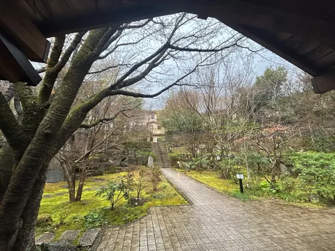 苔と石の静かな庭