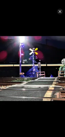 夜の踏切、青く光る植物