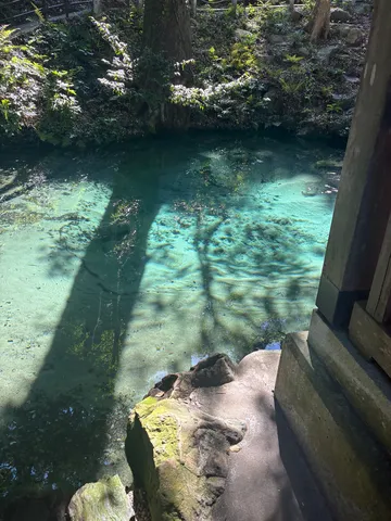 水底の宝石と影の道