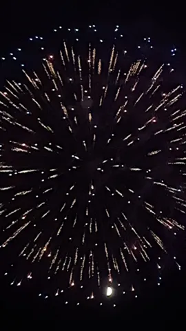 夜空に咲いた華やかな光の華