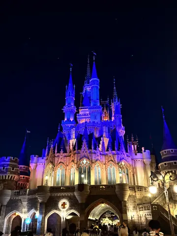 夜空に映える魔法の城