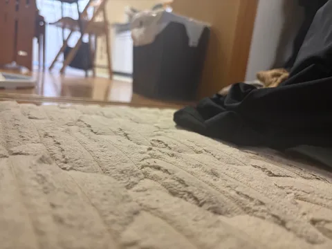 生活感あふれる日常の断片