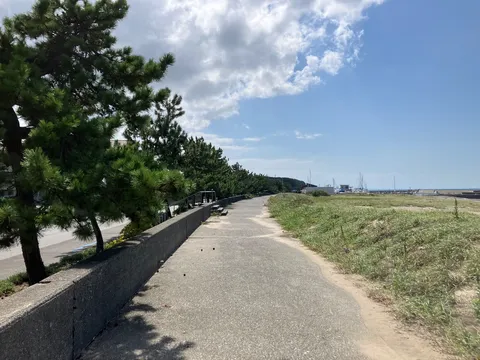 潮風と緑の海辺道