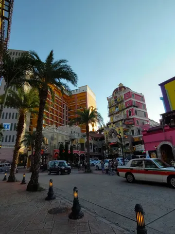 トロピカルな街角の夕景