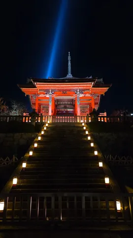 光導く夜の参道