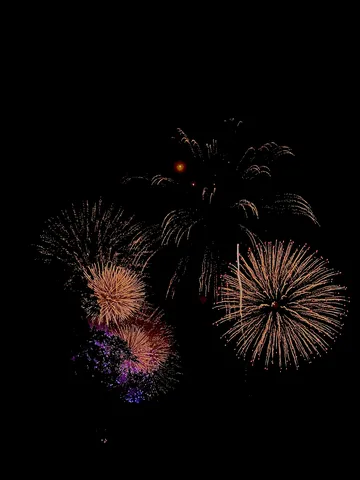 夜空を照らす花火の瞬間
