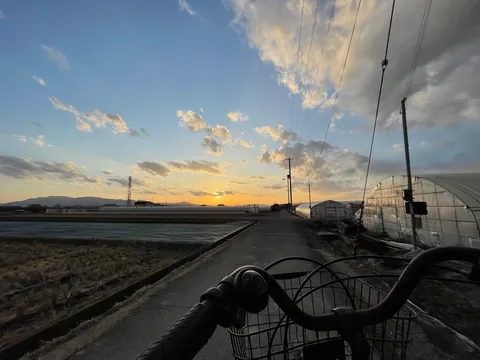 ハンドル越しの夕焼け空