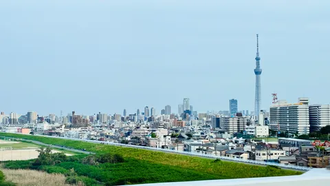 タワーと街並みの広がり