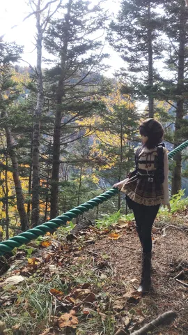 樹間に宿る秋の旅情