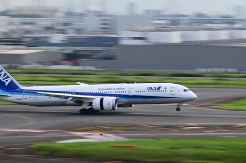 飛び立つ青と白の瞬間