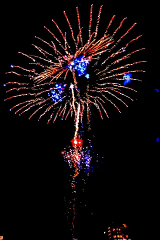 夜空を彩る鮮やかな光