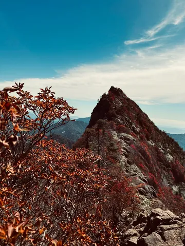 紅葉の山頂と青空の対話