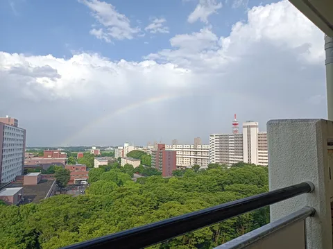 雨上がりのキャンバス
