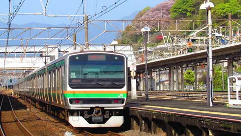春告げる、新緑と電車の旅