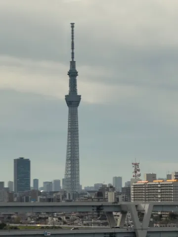 都会の塔が見守る日常風景