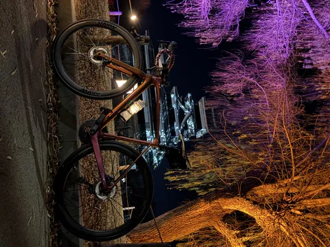 幻想夜景と映える一台