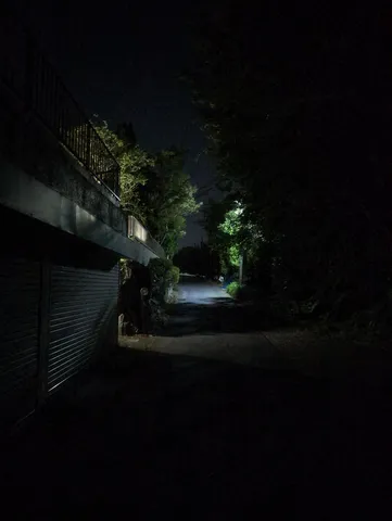 夜の道、光と影のコントラスト