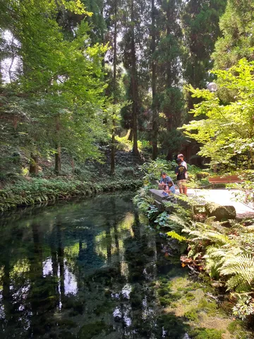 森の水辺でのんびり
