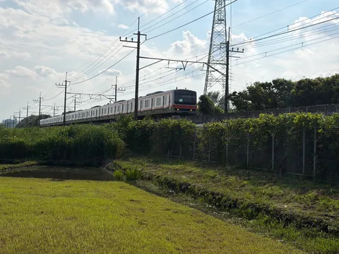 緑と鉄路の交差