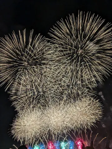 夜空を彩る光の芸術