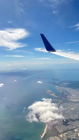 翼と広がる街並み、空からの眺め