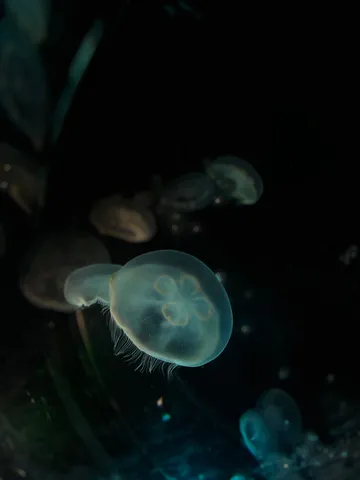 暗闇に浮かぶ青い灯