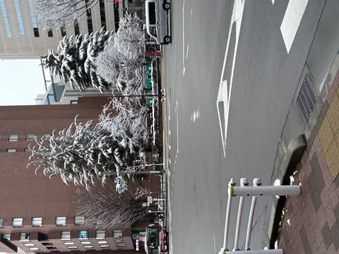 冬の街角、白いおめかし