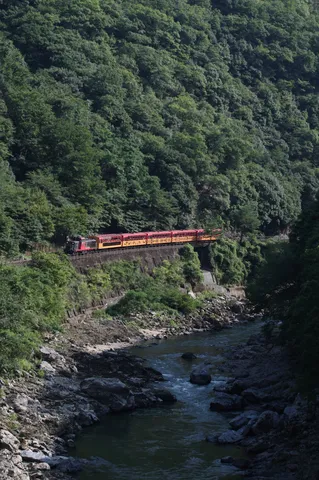 緑深き渓谷、旅情を誘う列車