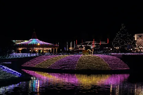 光の波が水面を染める夜