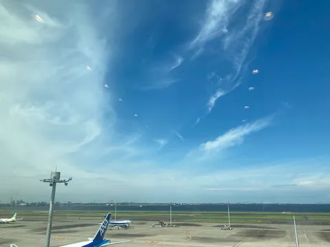空から舞い降りる光の粒たち