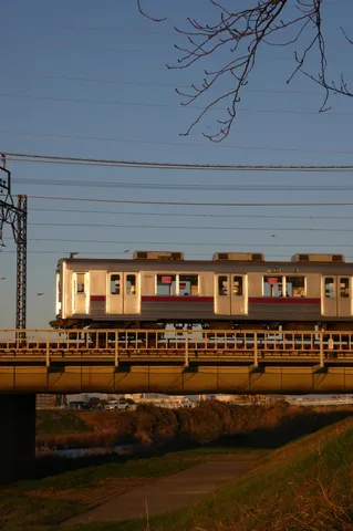 夕日を浴びて走る電車