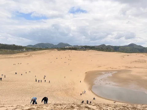 広大な砂丘と水辺のコントラスト