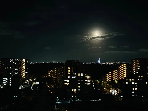 月明かりが照らす都市の夜景