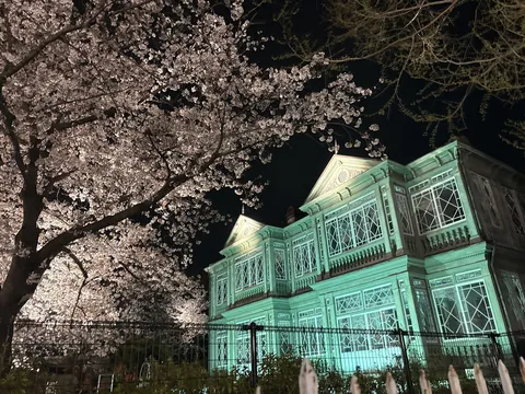 夜桜とエメラルドの洋館
