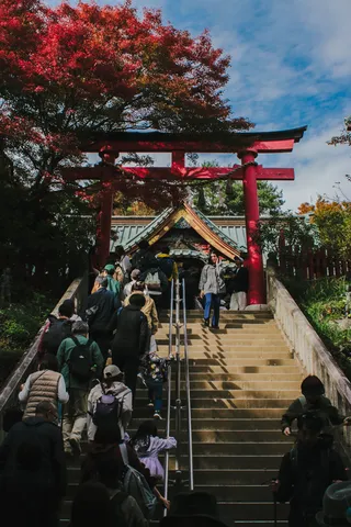 紅葉と鳥居、賑わう参道