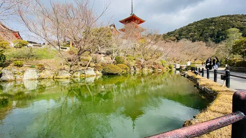 新緑に映える池泉と五重塔