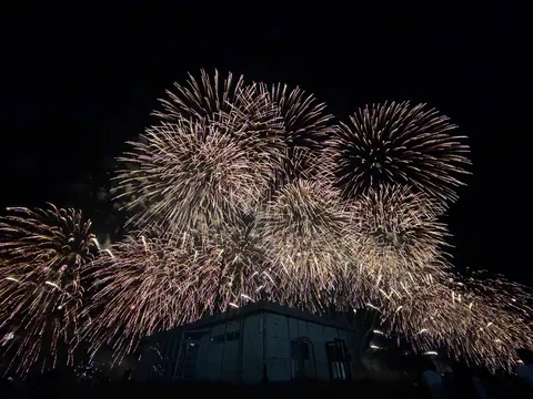 夜空を彩る光の芸術