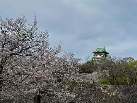 桜と古城、悠久の時