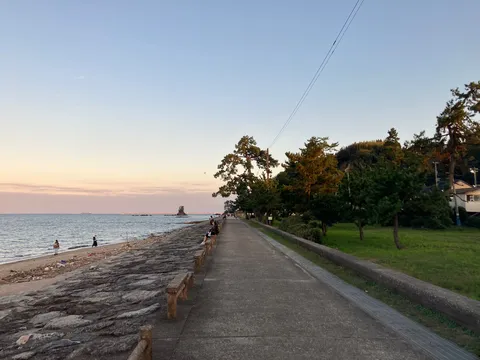 夕刻の海辺と木立の静寂