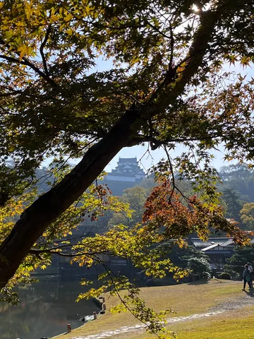 木間に浮かぶ城の秋景