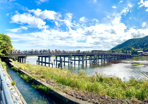 緑と青空、人々の賑わい