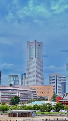 高層の影と水辺の緑
