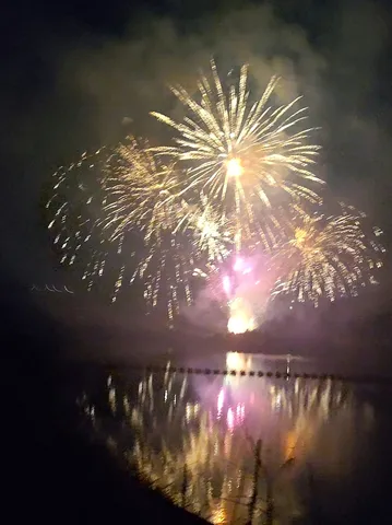 夜空を彩る華やかな光の饗宴