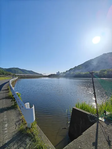 湖畔の静かな朝
