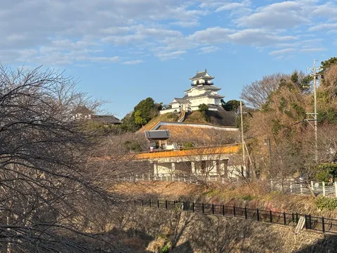 冬の木立に映える白城